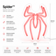 Spider™